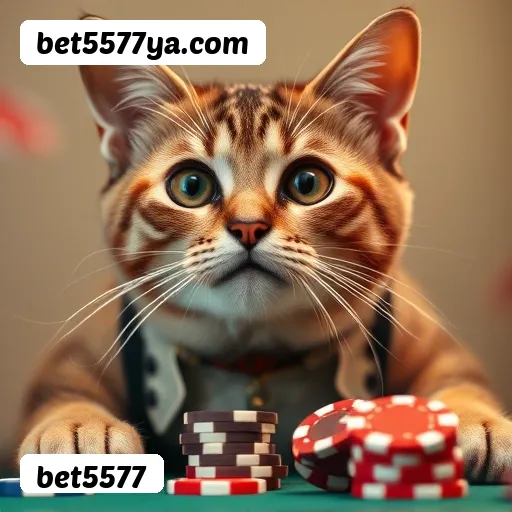 Benefícios da Conta bet5577.com: Saques PIX Rápidos, Bônus Exclusivos, 580+ Jogos Premium e Sistema VIP